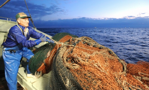 カニ漁の網を仕掛ける漁師。うっすらと明るくなり始めた冬の海。凍てつく寒さの中で漁は行われている