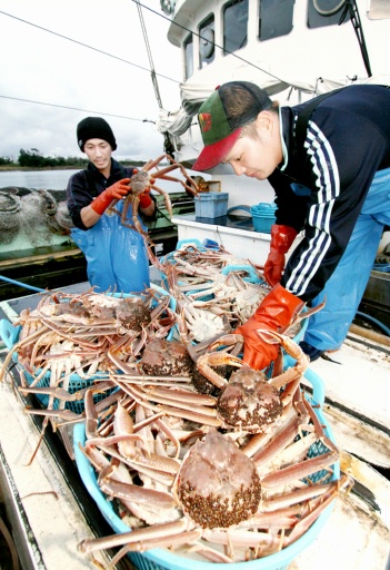 漁が解禁され、帰港した漁船から水揚げされる越前がに＝２０１１年１１月６日午後４時３５分ごろ、福井県坂井市の三国漁港