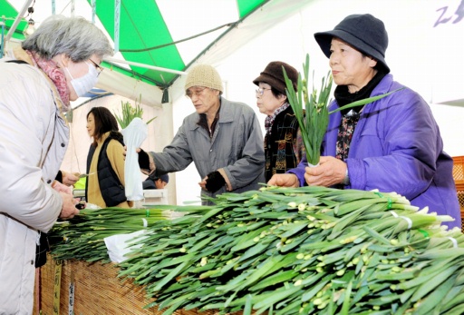遊客們從生產者手中購買水仙花（左）