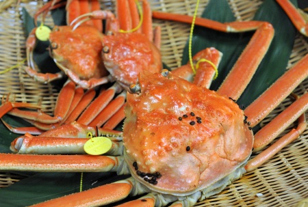 煮好的越前蟹=2014年11月6日，福井縣坂井市的三國漁港