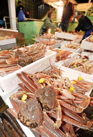 解禁日の漁港。地元漁師は厳しい経営の中、操業を続けている＝１１月６日、福井県坂井市の三国漁港