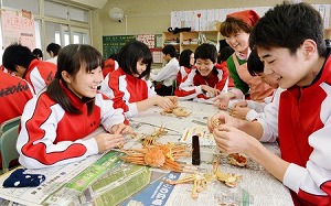學生們學習揹子蟹的喫法=11日，福井市的福井大學附屬中學