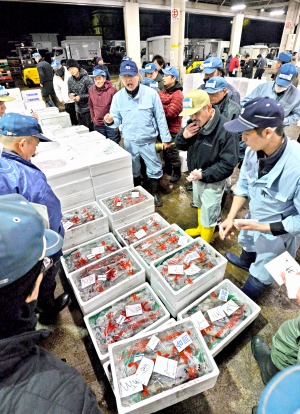競り人の掛け声とともに鮮魚を次々と競り落とす仲卸業者ら＝５日、福井県福井市中央卸売市場