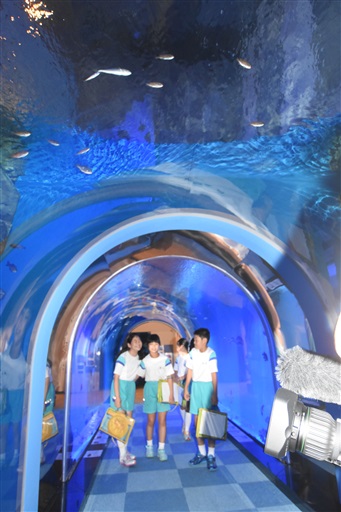 トンネル型の水槽「海遊歩道」は、従来の７メートルから２倍の１４メートルに延長