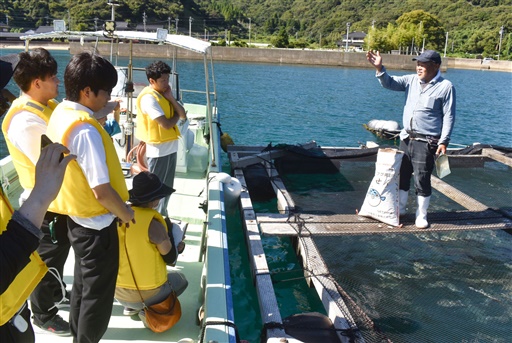 若狭ふぐや若狭まはたの養殖現場を見学するシェフら（左）＝９月11日、福井県敦賀市沓の沖合