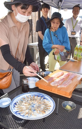 敦賀真鯛や若狭まはた、若狭ふぐを試食する飲食店の関係者＝９月11日、福井県敦賀市沓