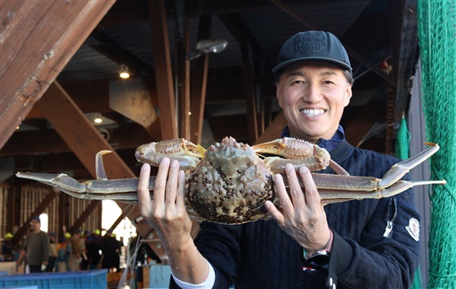 最上級ブランド「極」に認定されたズワイガニ＝11月９日、福井県越前町大樟の越前漁港