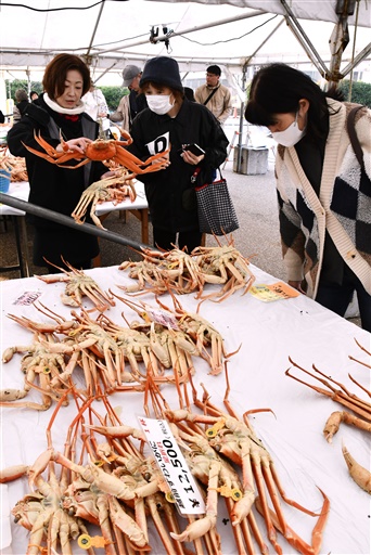 ずらりと並んだ越前がにを買い求める人々＝11月16日、福井県坂井市の三国サンセットビーチ駐車場