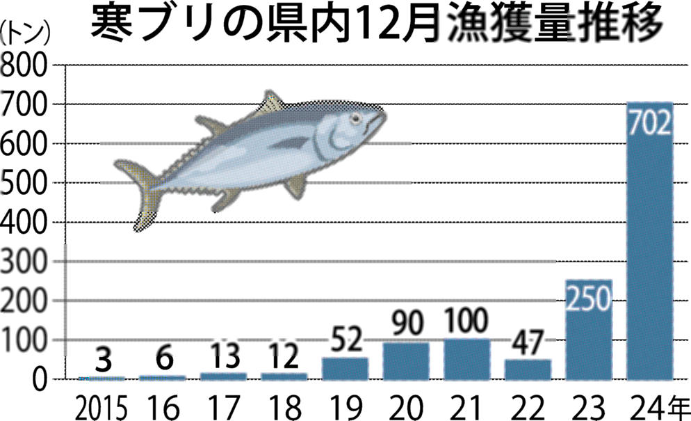 寒ブリの福井県内12月漁獲量